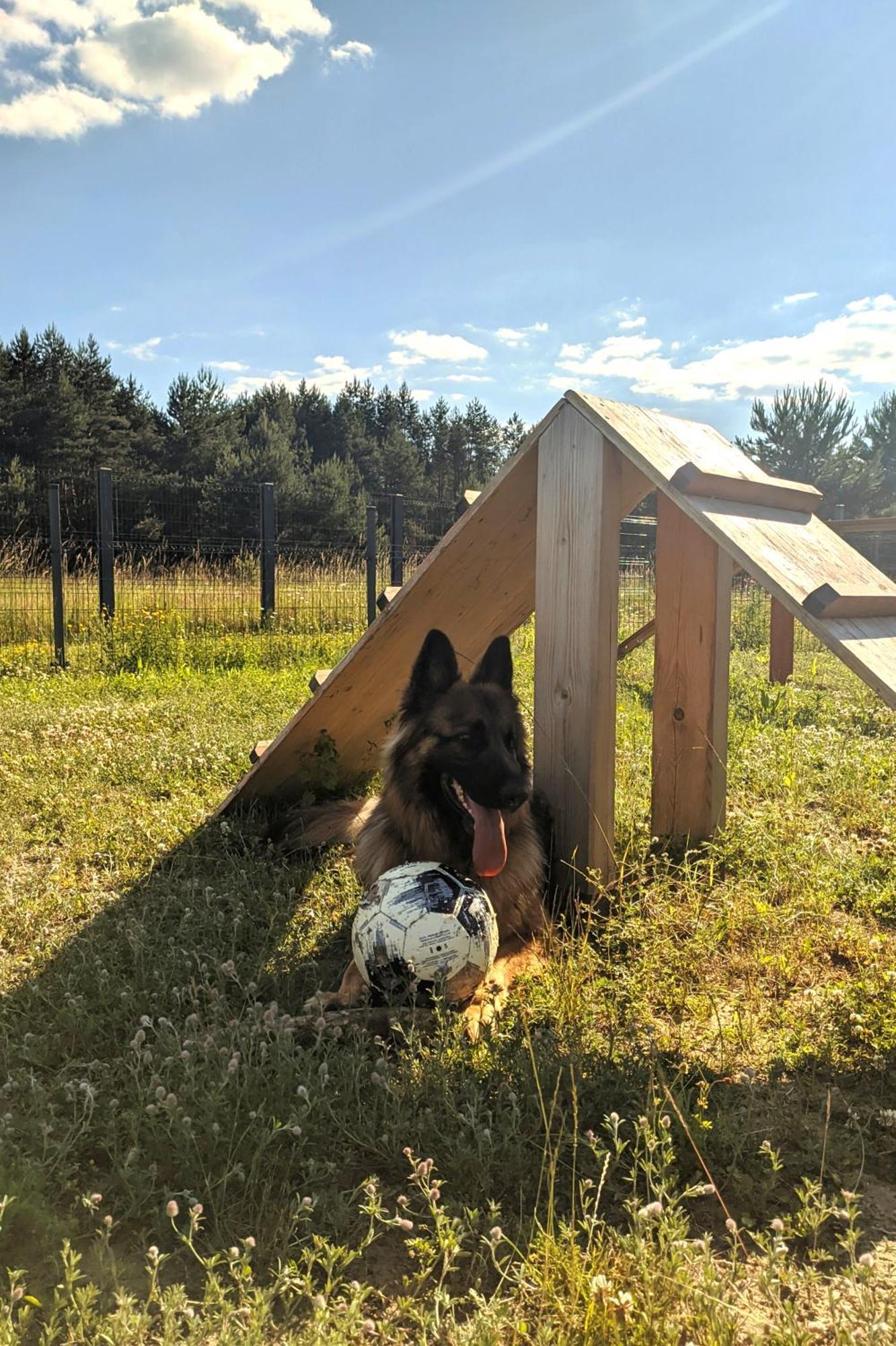 Ferienwohnung Moje Miejsce Jura Lgota Murowana Exterior foto